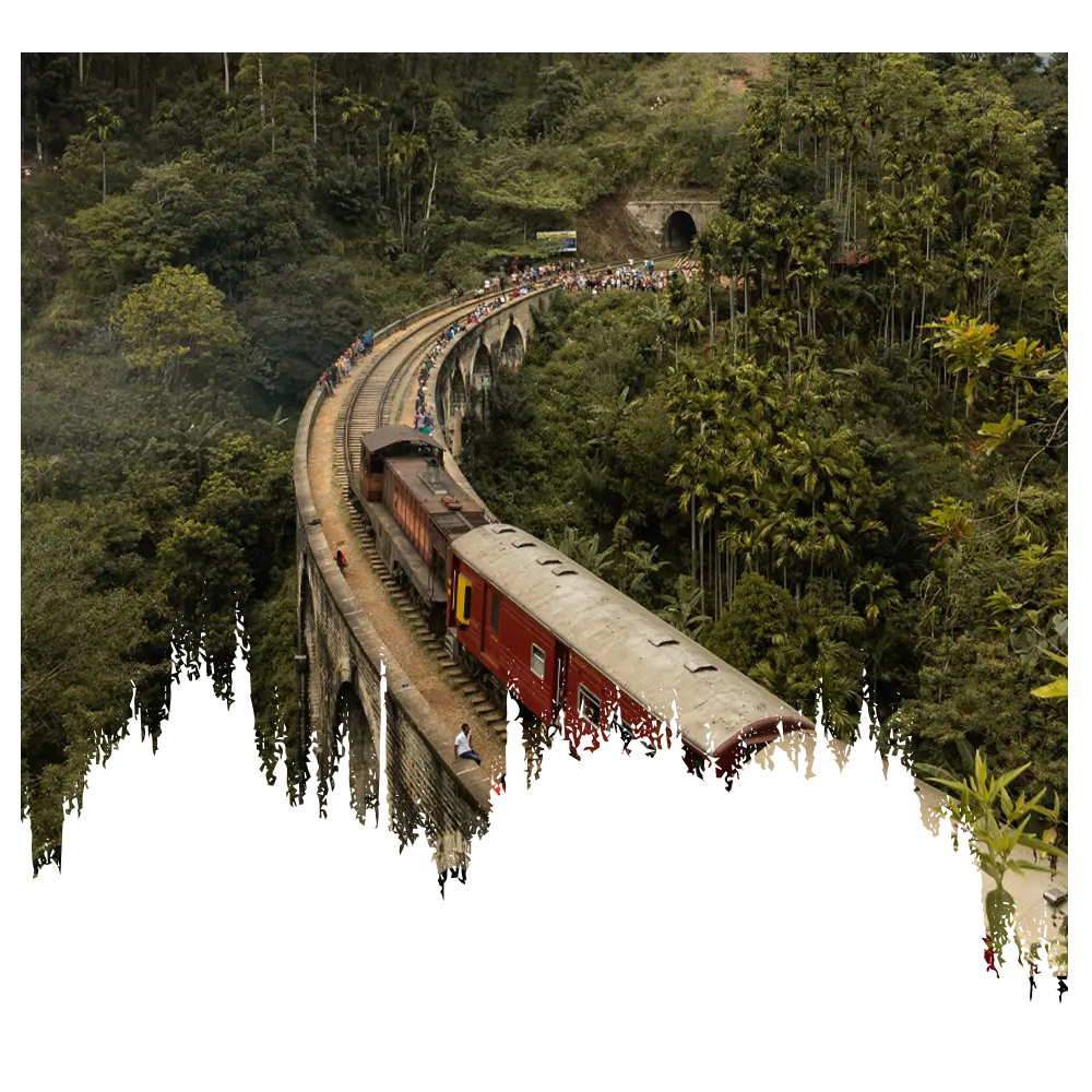 Why Sri Lanka Gulf Enterprises